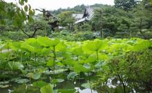 Hokongo-in Kyoto