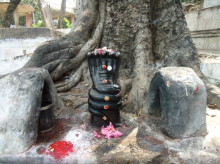 Palani Deity snake - Nagathara